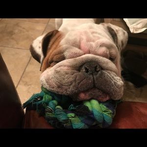 Meet your Posher, Tyler